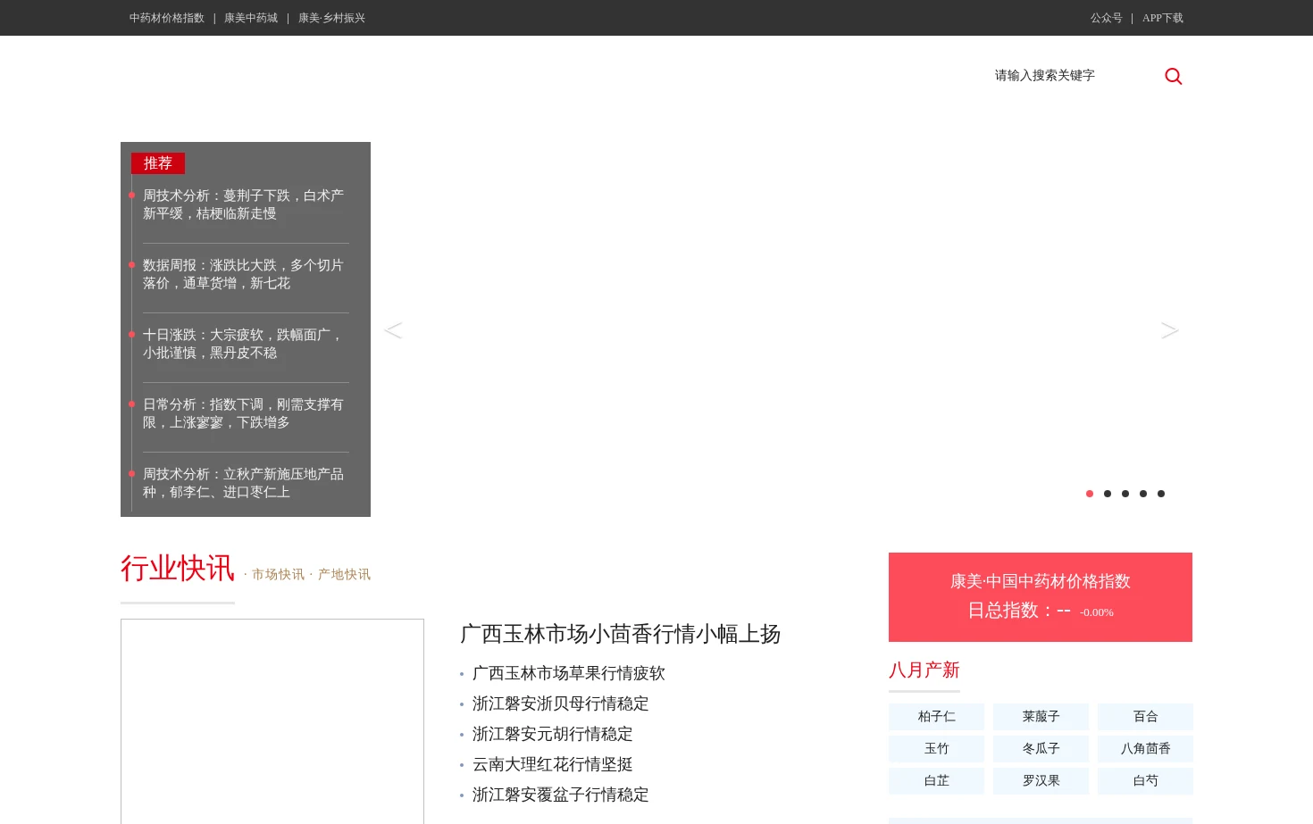 康美中药网 页面快照